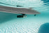 AM - Bluedrive X Pro Power Fin